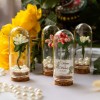 Wedding favors for guests bulk gifts, Pearls, Flower, Thank you gifts,Rustic Wedding favor, engagement gift, flower in glass lantern,birth Wedding favors for guests bulk gifts, Pearls, Flower, Thank you gifts,Rustic Wedding favor, engagement gift, flower in glass lantern,birth