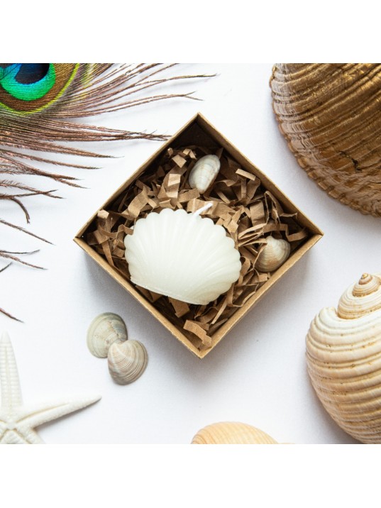 Wedding Scented candle Gift,Personalized candle,Sea Shell, Gift, Bridesmaid favor,Wedding candle,Christening Favors, candle in kraft box,Sea Wedding Scented candle Gift,Personalized candle,Sea Shell, Gift, Bridesmaid favor,Wedding candle,Christening Favors, candle in kraft box,Sea
